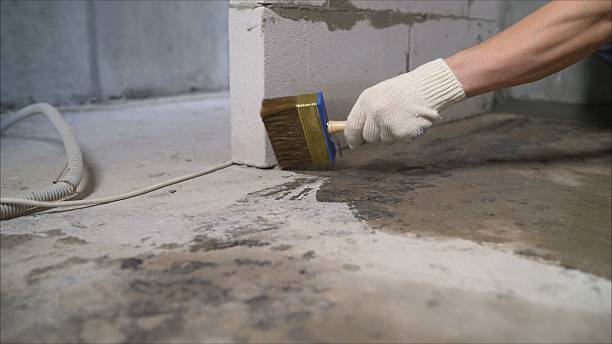 SJ Waterproofing Pros Waterproofing coverage map for Oakwood, IL and surrounding area